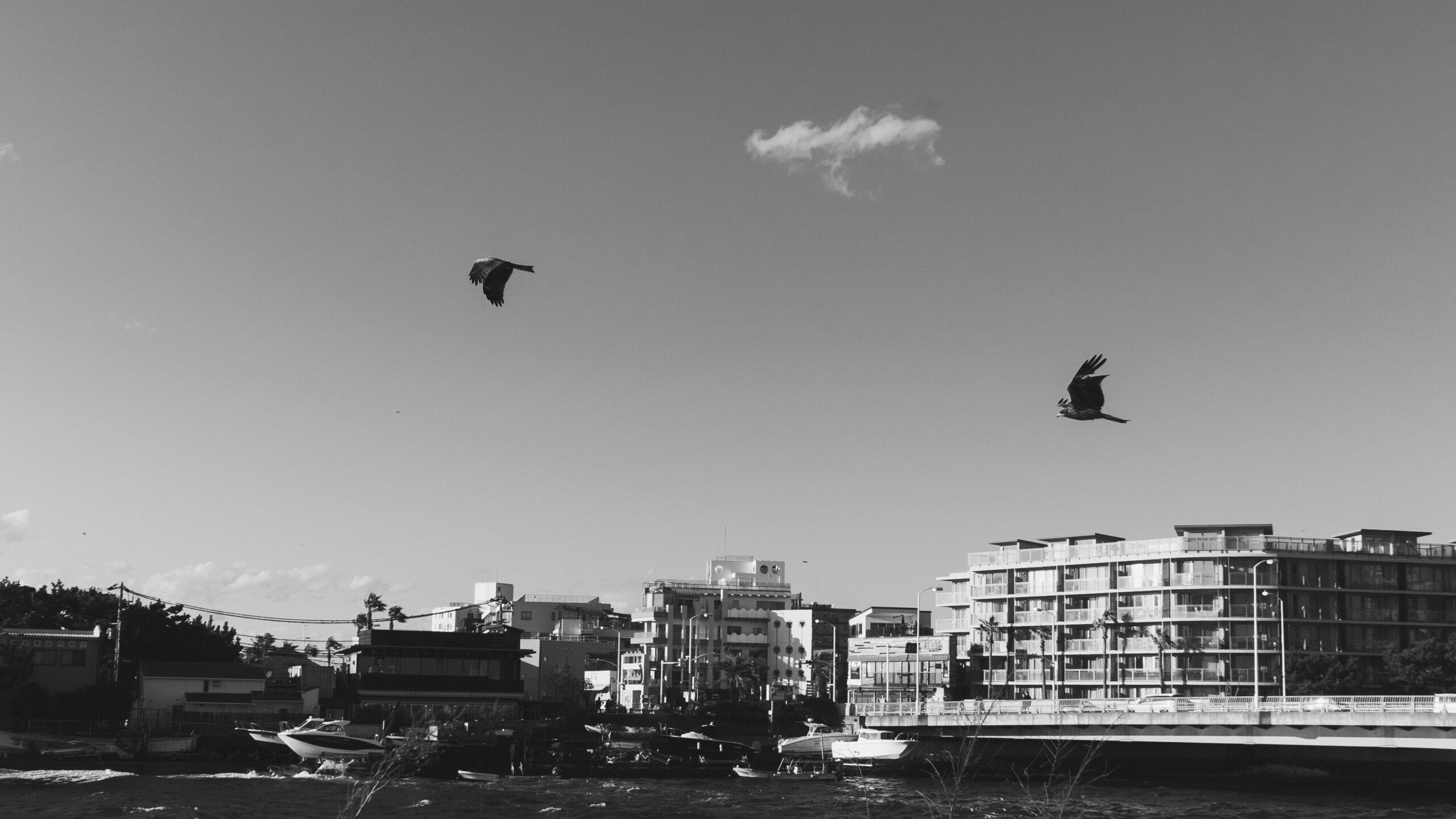 文通:川柳について(平野・丸田)